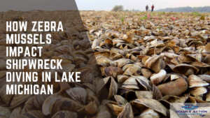 How Zebra Mussels Impact Shipwreck Diving in Lake Michigan