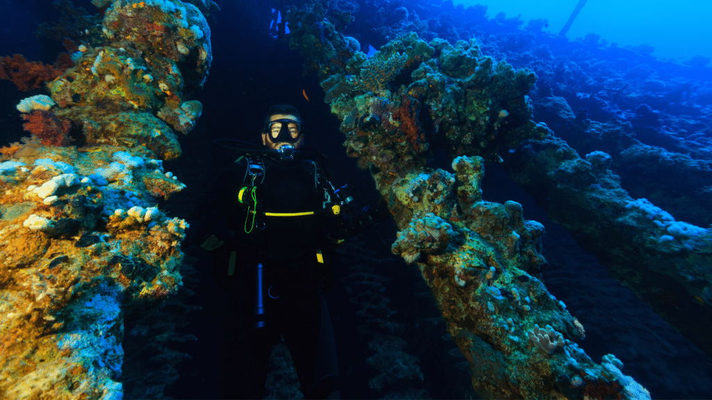 A diver exploring the wrecks under the water