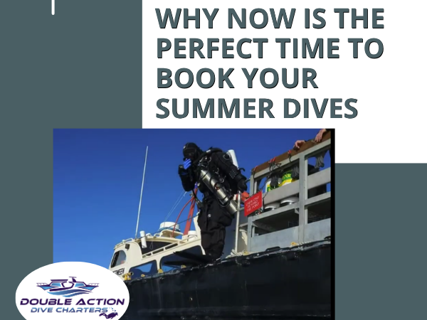 Why Now is the Perfect Time to Book Your Summer Dives