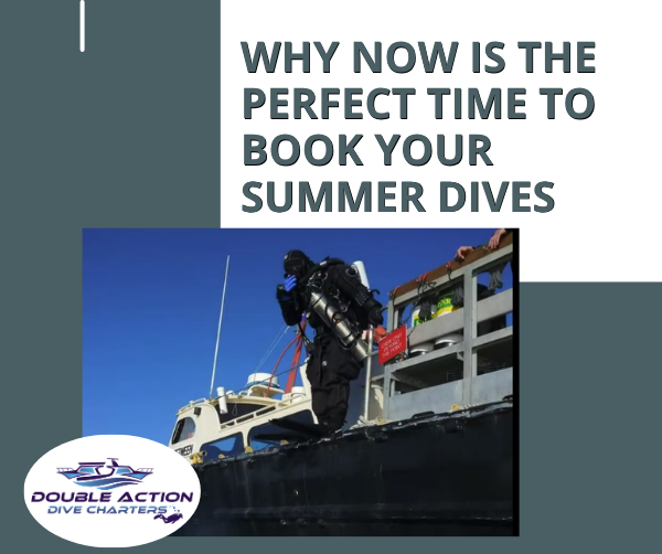 Why Now is the Perfect Time to Book Your Summer Dives