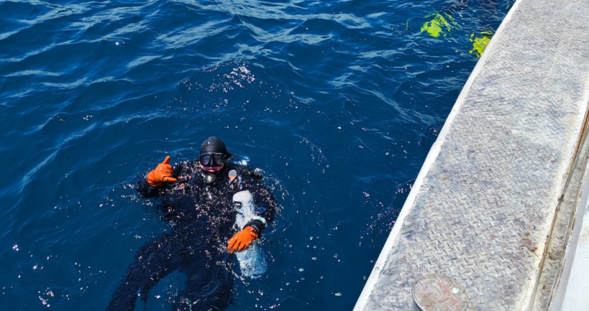 Two Divers in the Water on A Scuba Dive Charter