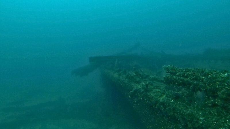 Bud's Steamer